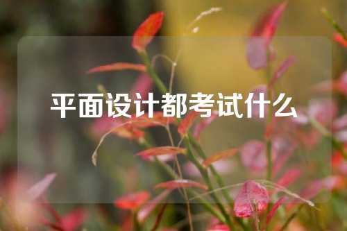 平面设计都考试什么