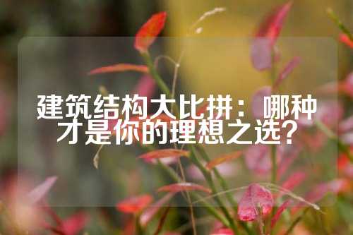 建筑结构大比拼：哪种才是你的理想之选？