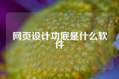网页设计功底是什么软件