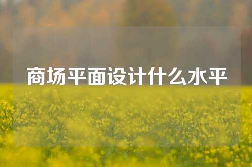 商场平面设计什么水平