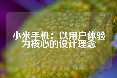 小米手机：以用户体验为核心的设计理念