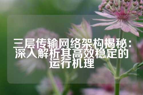 三层传输网络架构揭秘：深入解析其高效稳定的运行机理