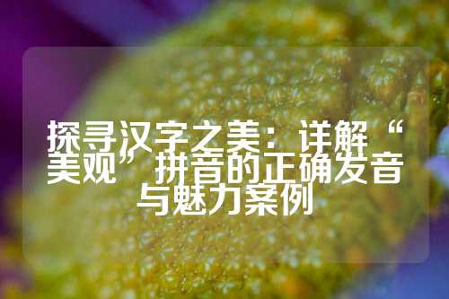 探寻汉字之美：详解“美观”拼音的正确发音与魅力案例
