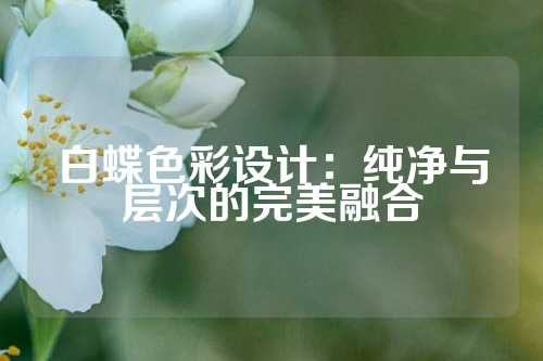 白蝶色彩设计：纯净与层次的完美融合
