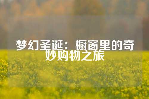 梦幻圣诞：橱窗里的奇妙购物之旅