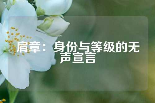 肩章：身份与等级的无声宣言