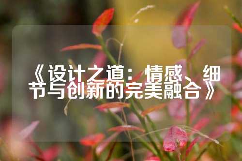 《设计之道:情感、细节与创新的完美融合》