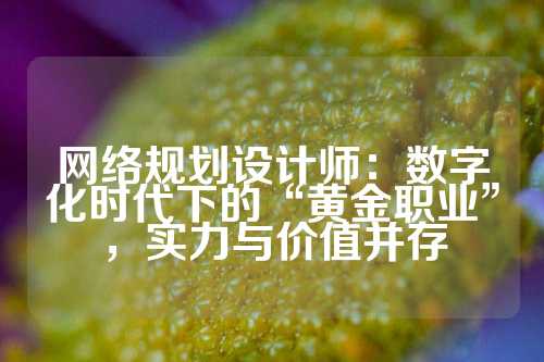 网络规划设计师：数字化时代下的“黄金职业”，实力与价值并存