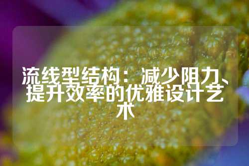 流线型结构:减少阻力、提升效率的优雅设计艺术