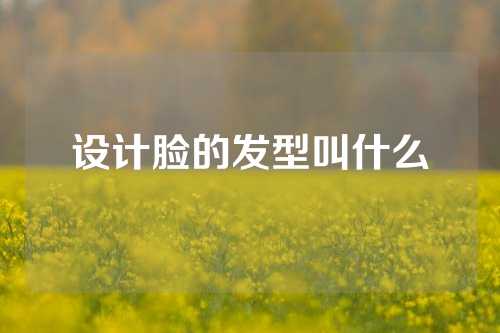 设计脸的发型叫什么