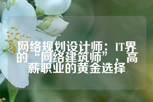 网络规划设计师：IT界的“网络建筑师”，高薪职业的黄金选择