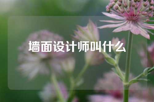 墙面设计师叫什么