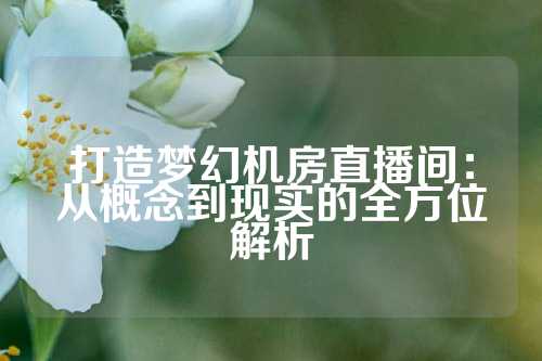 打造梦幻机房直播间：从概念到现实的全方位解析