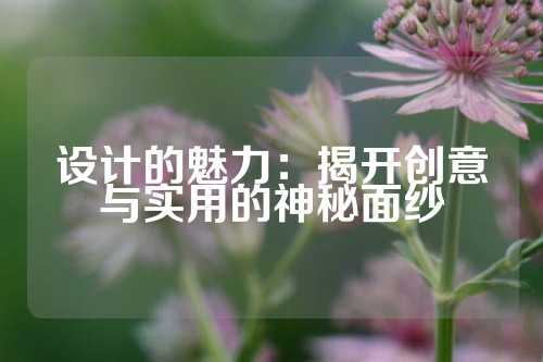 设计的魅力：揭开创意与实用的神秘面纱