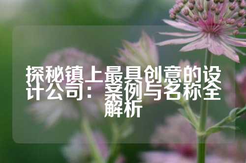 探秘镇上最具创意的设计公司：案例与名称全解析