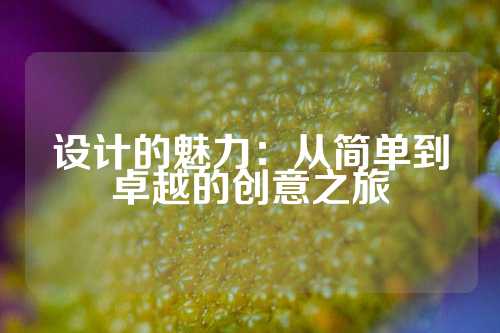设计的魅力：从简单到卓越的创意之旅