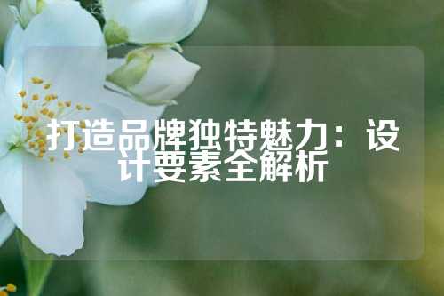 打造品牌独特魅力：设计要素全解析