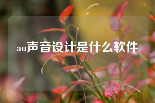 au声音设计是什么软件
