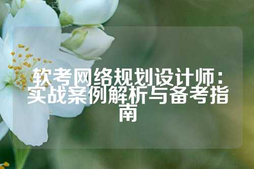 软考网络规划设计师：实战案例解析与备考指南