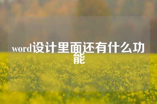 word设计里面还有什么功能