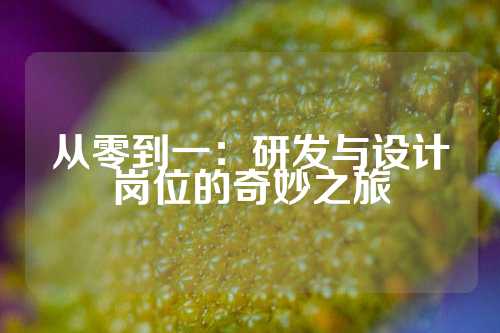 从零到一：研发与设计岗位的奇妙之旅