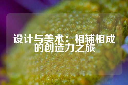 设计与美术：相辅相成的创造力之旅