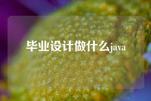 毕业设计做什么java