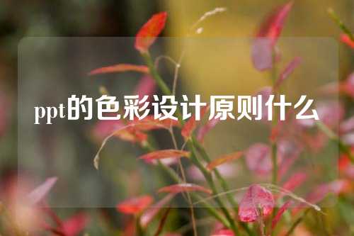 ppt的色彩设计原则什么