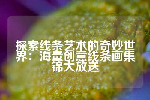 探索线条艺术的奇妙世界：海量创意线条画集锦大放送