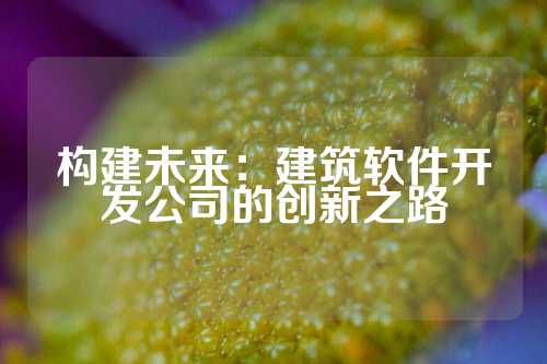 构建未来：建筑软件开发公司的创新之路