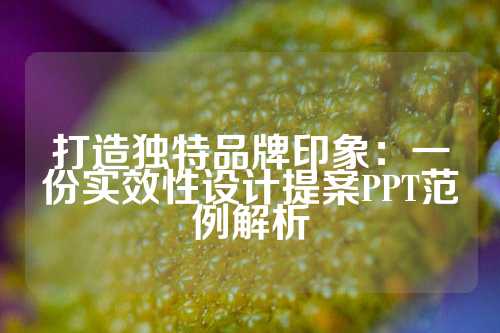 打造独特品牌印象:一份实效性设计提案PPT范例解析