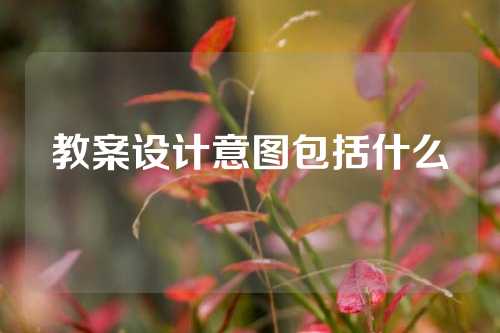 教案设计意图包括什么