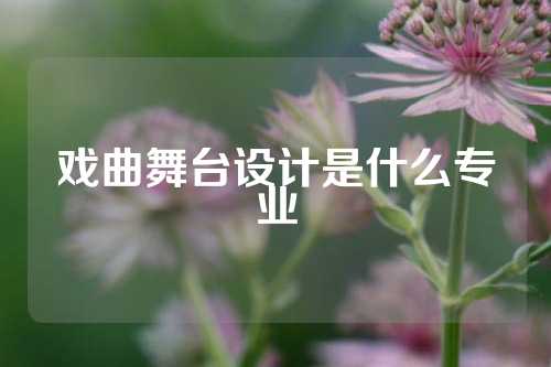 戏曲舞台设计是什么专业