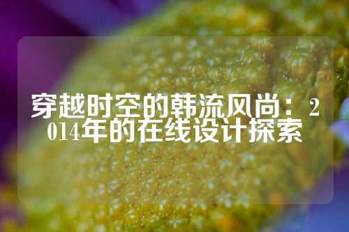 穿越时空的韩流风尚：2014年的在线设计探索