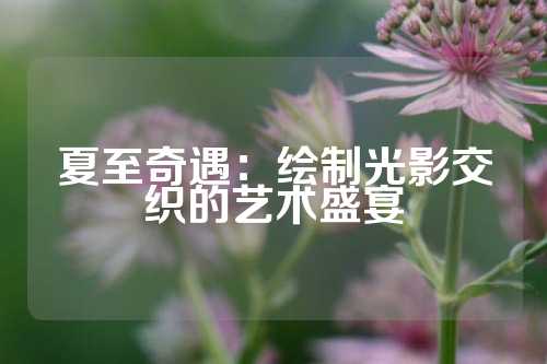 夏至奇遇：绘制光影交织的艺术盛宴