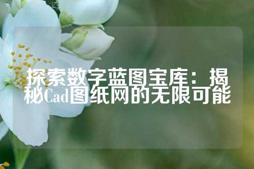 探索数字蓝图宝库：揭秘Cad图纸网的无限可能