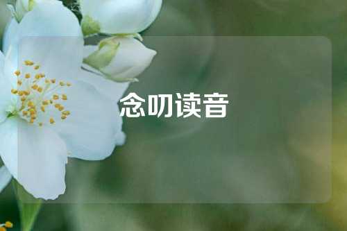 念叨读音
