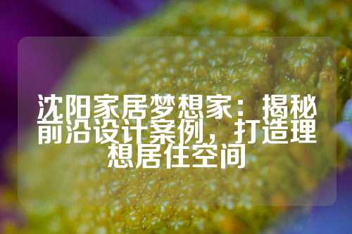 沈阳家居梦想家：揭秘前沿设计案例，打造理想居住空间