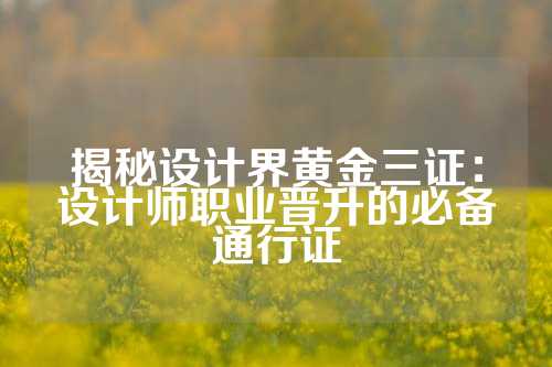 揭秘设计界黄金三证：设计师职业晋升的必备通行证
