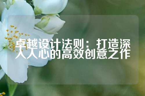 卓越设计法则：打造深入人心的高效创意之作