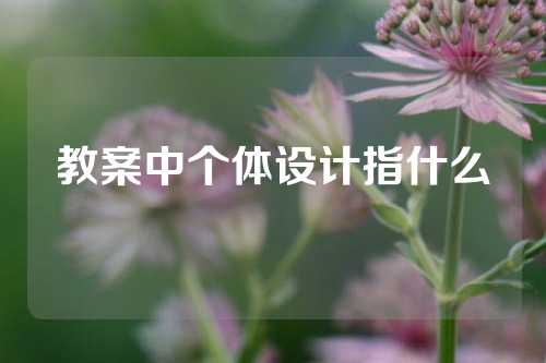 教案中个体设计指什么
