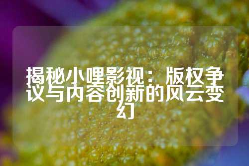 揭秘小哩影视：版权争议与内容创新的风云变幻