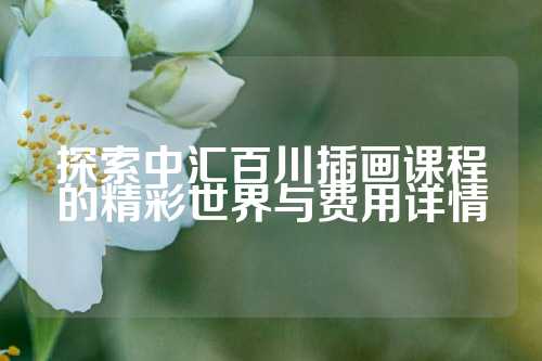 探索中汇百川插画课程的精彩世界与费用详情