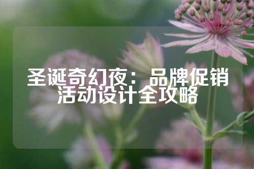 圣诞奇幻夜：品牌促销活动设计全攻略