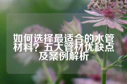 如何选择最适合的水管材料？五大管材优缺点及案例解析
