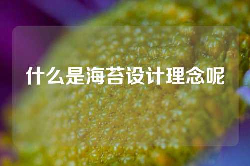 什么是海苔设计理念呢