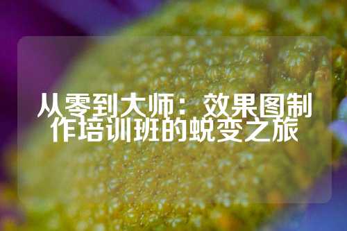 从零到大师：效果图制作培训班的蜕变之旅
