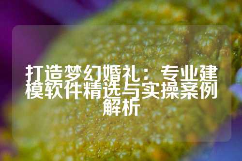 打造梦幻婚礼：专业建模软件精选与实操案例解析