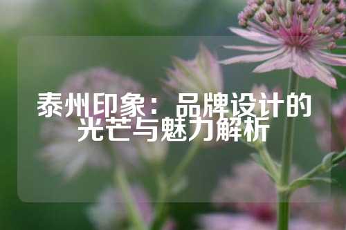 泰州印象：品牌设计的光芒与魅力解析