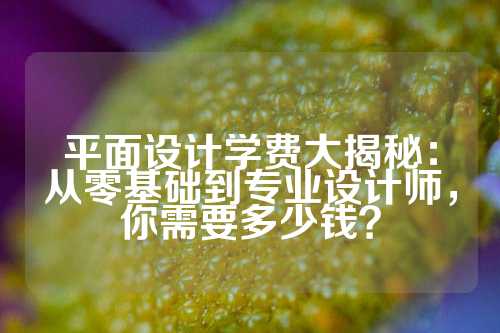 平面设计学费大揭秘：从零基础到专业设计师，你需要多少钱？